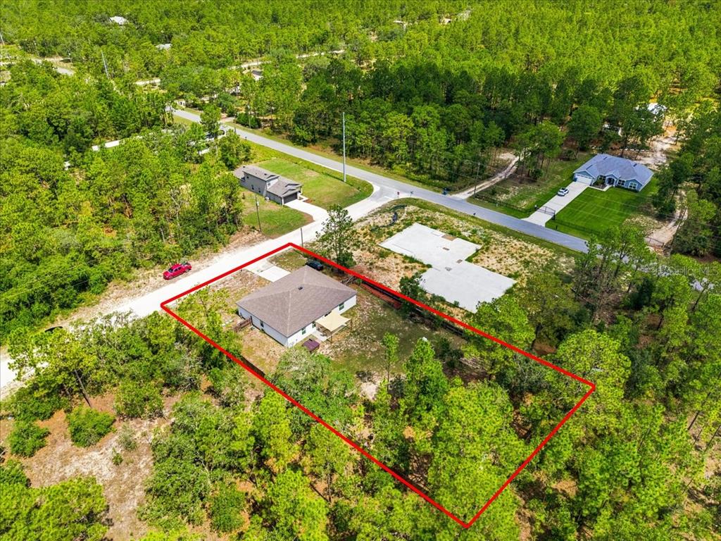 15186 Duck Hawk Road Weeki Wachee, FL 34614 - Photo 8 of 62