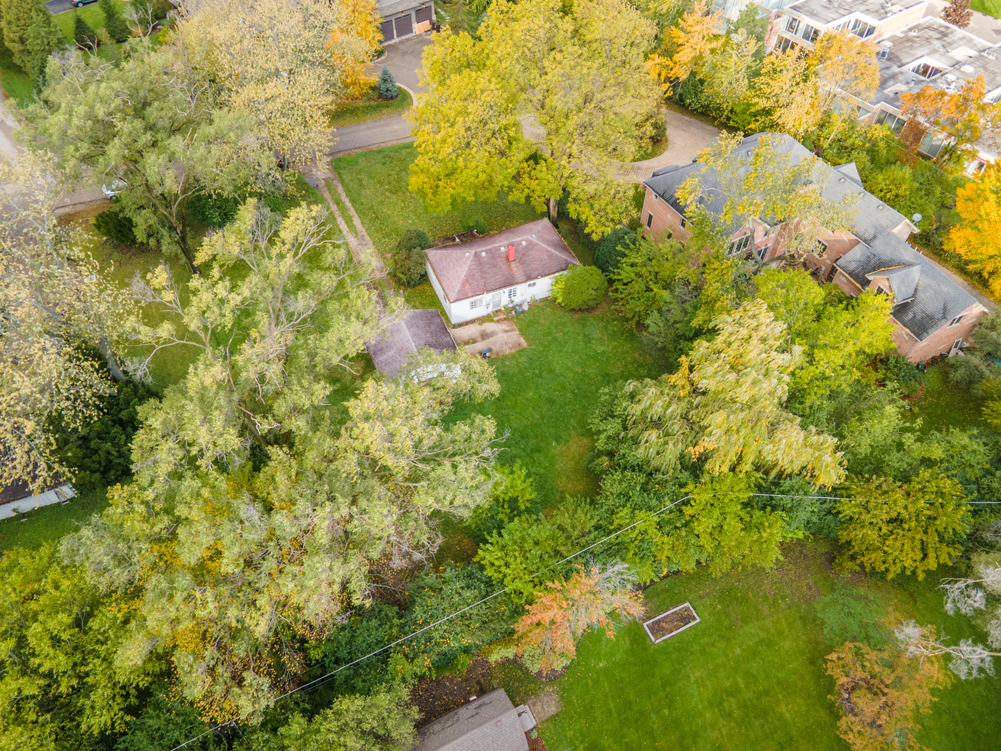 211 Red Oak Road Northbrook, IL 60062 - Photo 8 of 8 a picture of a tree