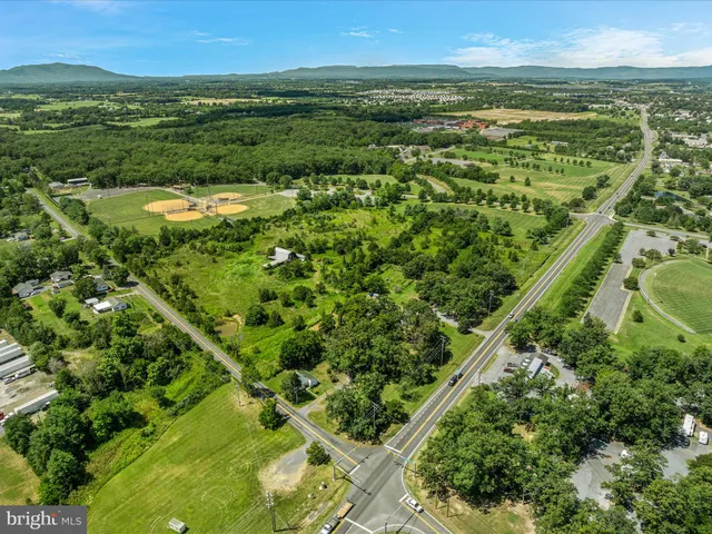 a view of a city with lush green forest