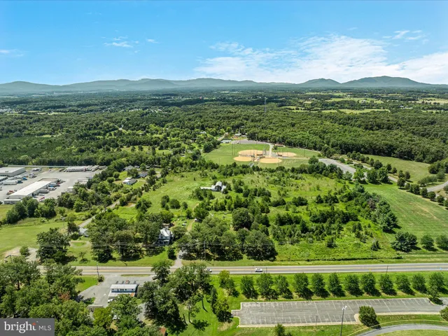 a view of a city with lush green forest