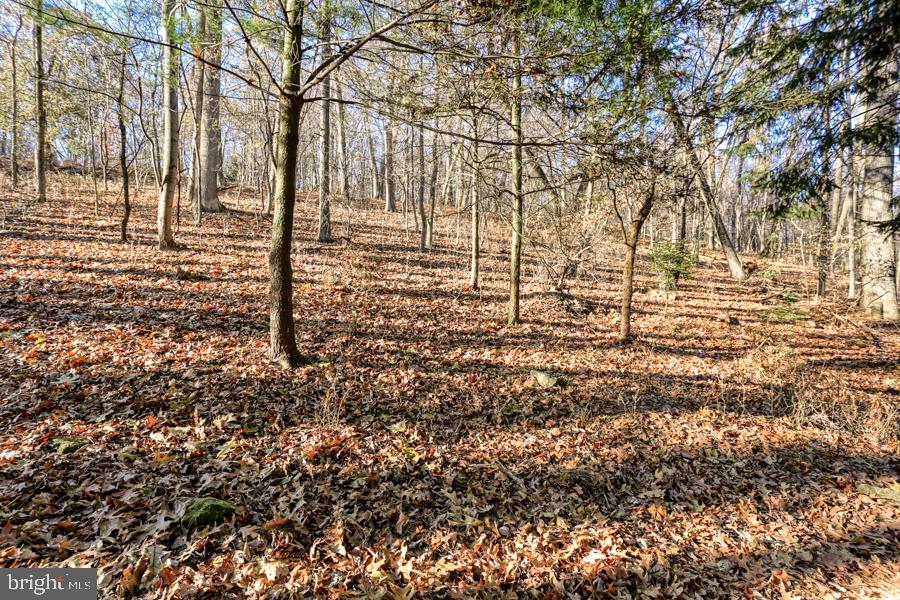541 Hilltop Road Hummelstown, PA 17036 - Photo 72 of 76 Wooded Area