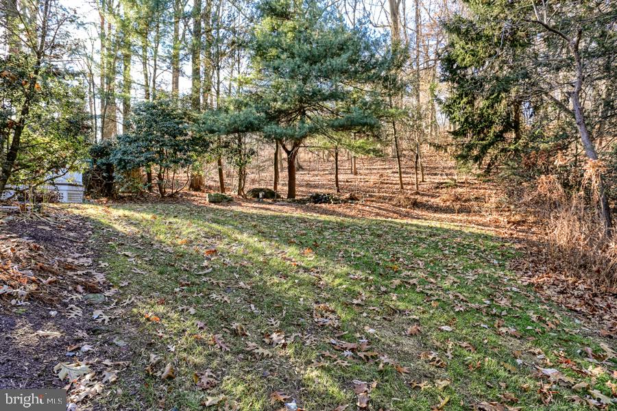 541 Hilltop Road Hummelstown, PA 17036 - Photo 73 of 76 Watch the Wildlife