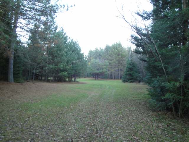 29-acres Spafford Road Rhinelander, WI 54501 - Photo 6 of 13 Gallery Image 6