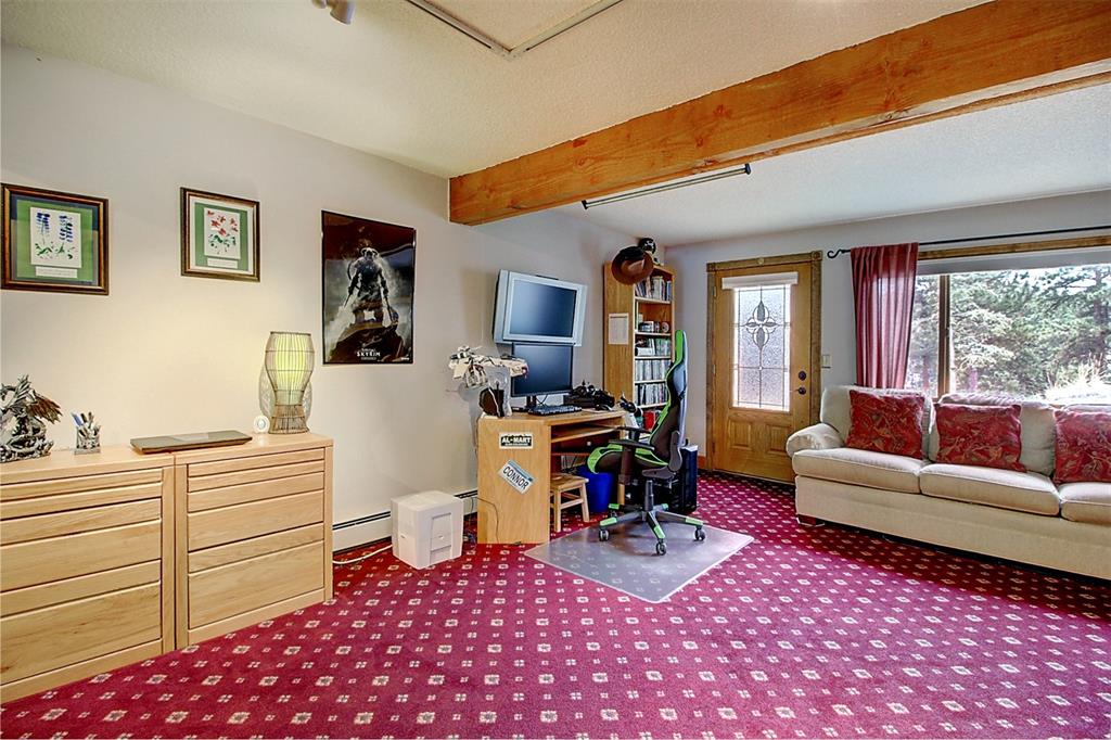 331 Woodside Drive Pine, CO 80470 - Photo 14 of 40