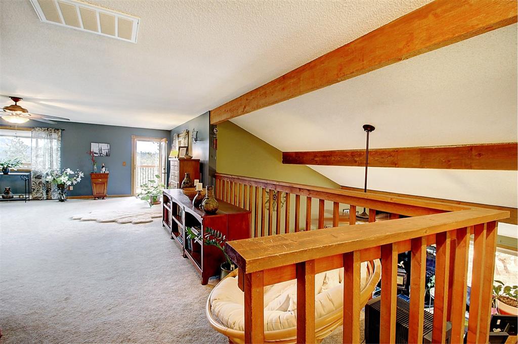 331 Woodside Drive Pine, CO 80470 - Photo 2 of 40