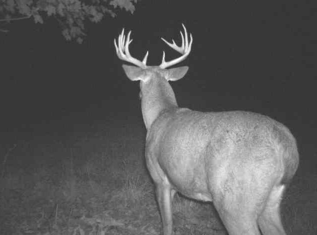 27802 Sunny Lane Steuben, WI 54657 - Photo 11 of 49