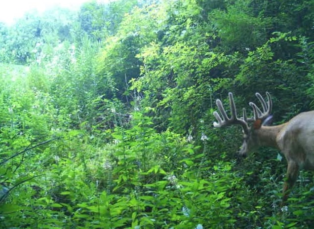 27802 Sunny Lane Steuben, WI 54657 - Photo 12 of 49