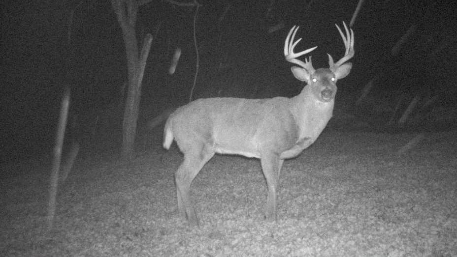 27802 Sunny Lane Steuben, WI 54657 - Photo 13 of 49