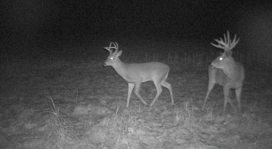 27802 Sunny Lane Steuben, WI 54657 - Photo 14 of 49