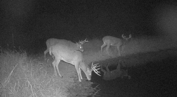 $2,110,000 | 27802 Sunny Lane, Steuben, WI 54657