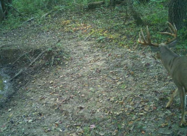 27802 Sunny Lane Steuben, WI 54657 - Photo 16 of 49