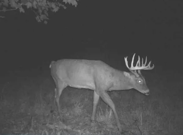 $2,110,000 | 27802 Sunny Lane, Steuben, WI 54657