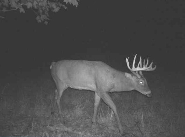 27802 Sunny Lane Steuben, WI 54657 - Photo 17 of 49