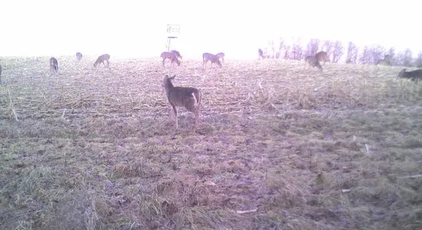 $2,110,000 | 27802 Sunny Lane, Steuben, WI 54657