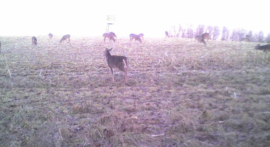 27802 Sunny Lane Steuben, WI 54657 - Photo 33 of 49