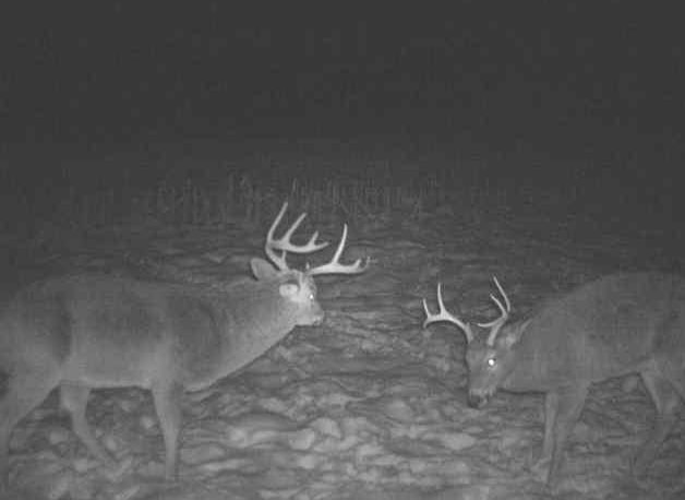 27802 Sunny Lane Steuben, WI 54657 - Photo 34 of 49