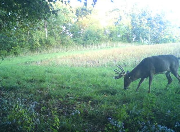 27802 Sunny Lane Steuben, WI 54657 - Photo 35 of 49