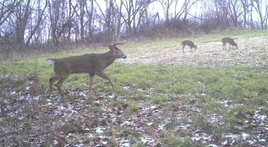 27802 Sunny Lane Steuben, WI 54657 - Photo 37 of 49