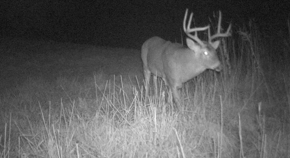 27802 Sunny Lane Steuben, WI 54657 - Photo 38 of 49