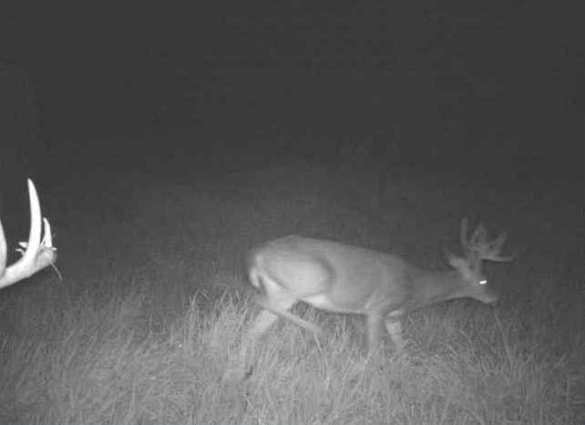 27802 Sunny Lane Steuben, WI 54657 - Photo 39 of 49