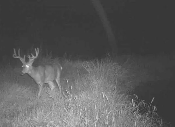 $2,110,000 | 27802 Sunny Lane, Steuben, WI 54657