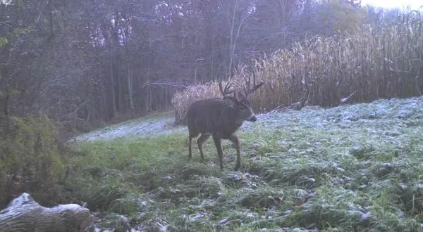 $2,110,000 | 27802 Sunny Lane, Steuben, WI 54657