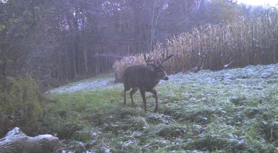 27802 Sunny Lane Steuben, WI 54657 - Photo 4 of 49