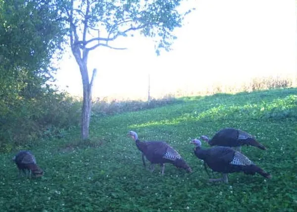 $2,110,000 | 27802 Sunny Lane, Steuben, WI 54657