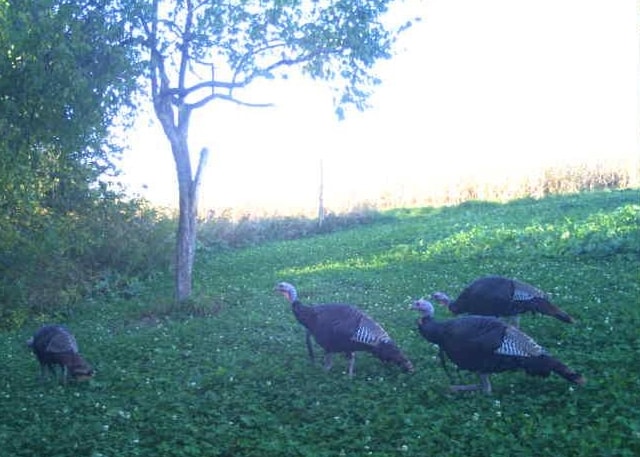 27802 Sunny Lane Steuben, WI 54657 - Photo 41 of 49