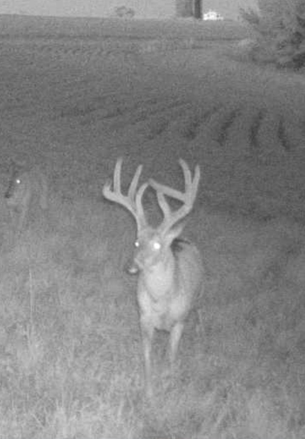 27802 Sunny Lane Steuben, WI 54657 - Photo 42 of 49