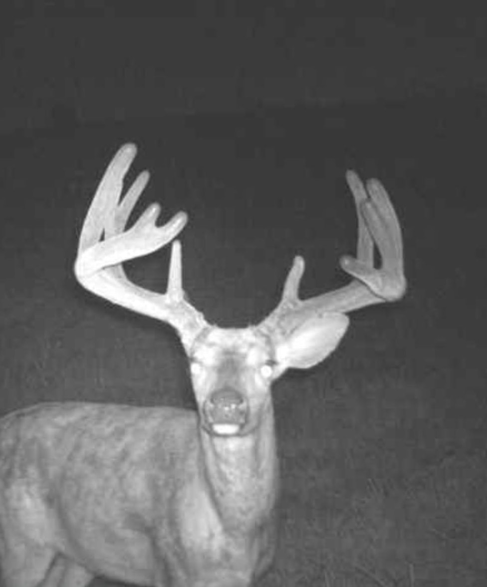 27802 Sunny Lane Steuben, WI 54657 - Photo 43 of 49