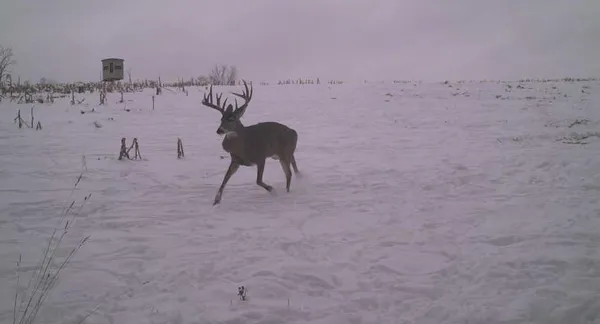 $2,110,000 | 27802 Sunny Lane, Steuben, WI 54657