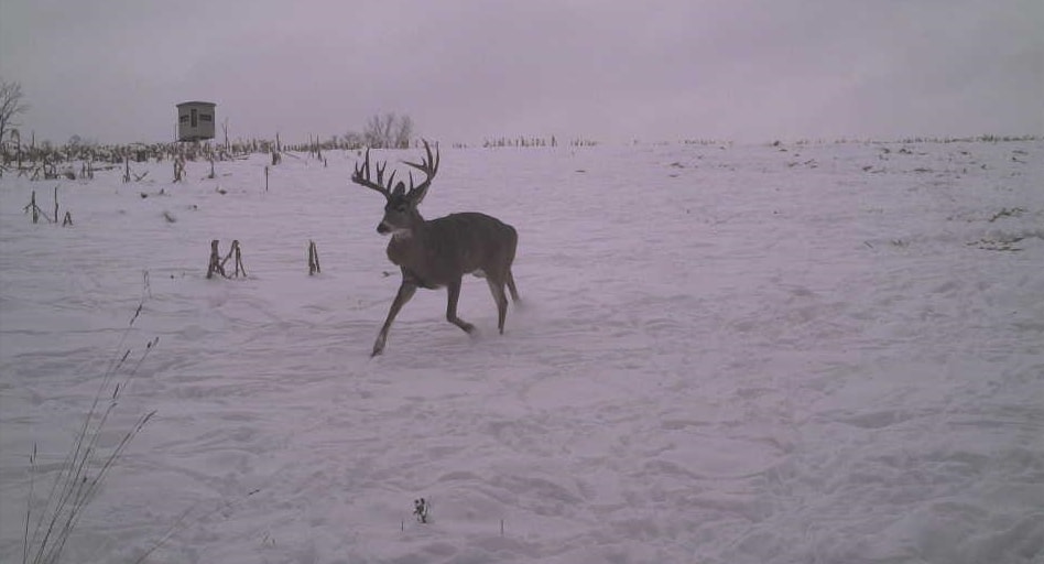 27802 Sunny Lane Steuben, WI 54657 - Photo 5 of 49