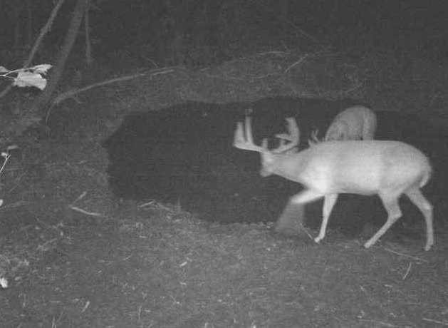 27802 Sunny Lane Steuben, WI 54657 - Photo 6 of 49