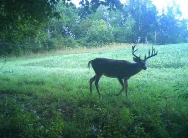 $2,110,000 | 27802 Sunny Lane, Steuben, WI 54657