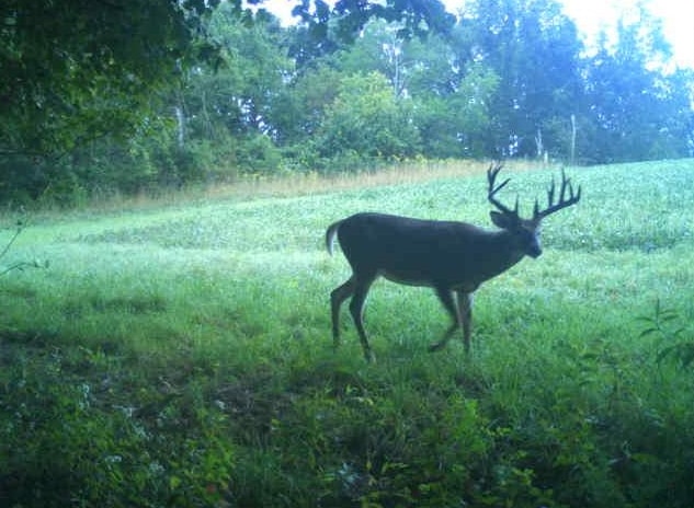 27802 Sunny Lane Steuben, WI 54657 - Photo 7 of 49