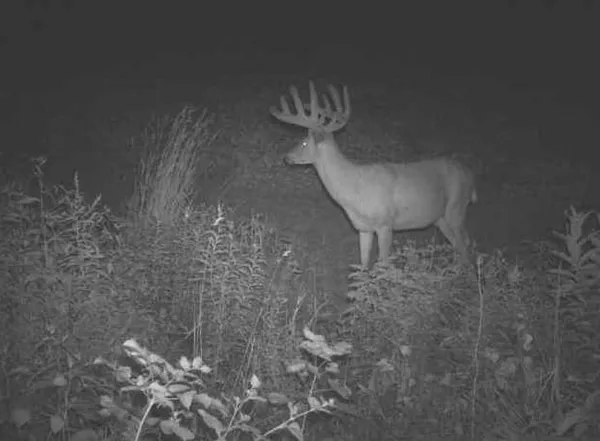 $2,110,000 | 27802 Sunny Lane, Steuben, WI 54657