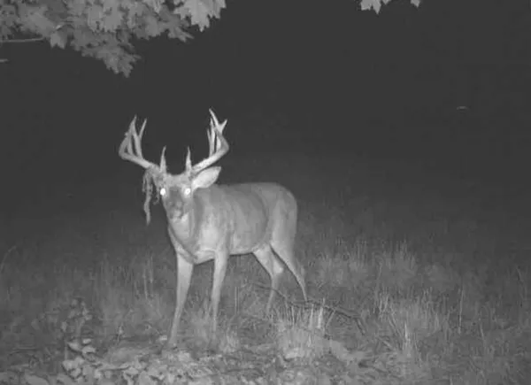 $2,110,000 | 27802 Sunny Lane, Steuben, WI 54657