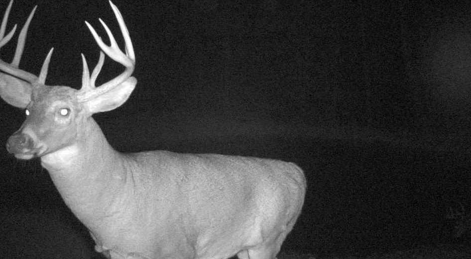 27802 Sunny Lane Steuben, WI 54657 - Photo 10 of 49