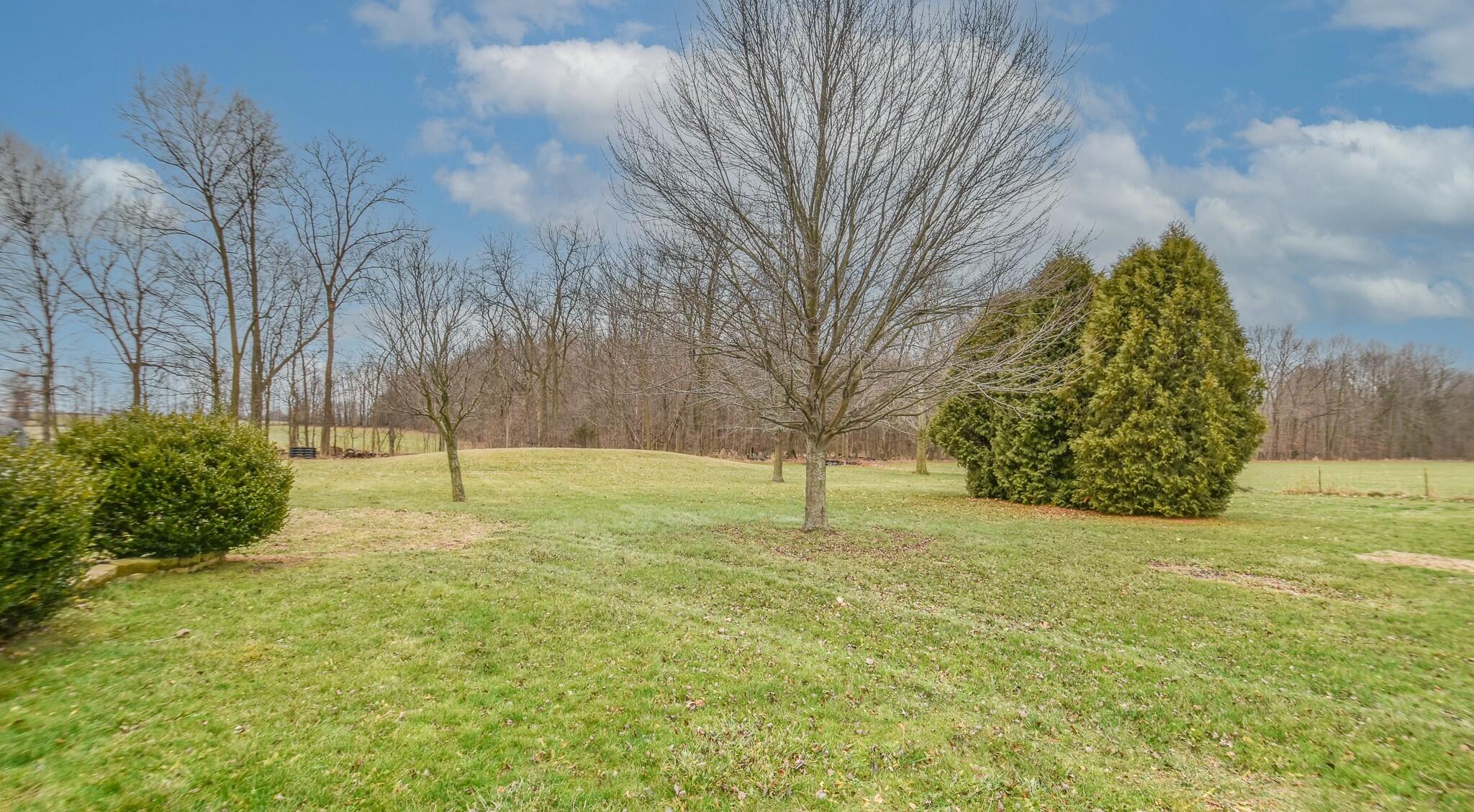 981 Generic Drive Quincy, MI 49082 - Photo 38 of 38 tempImageEuMoKI