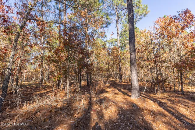 $390,000 | 465 Roundabout Road, Carthage, NC 28327