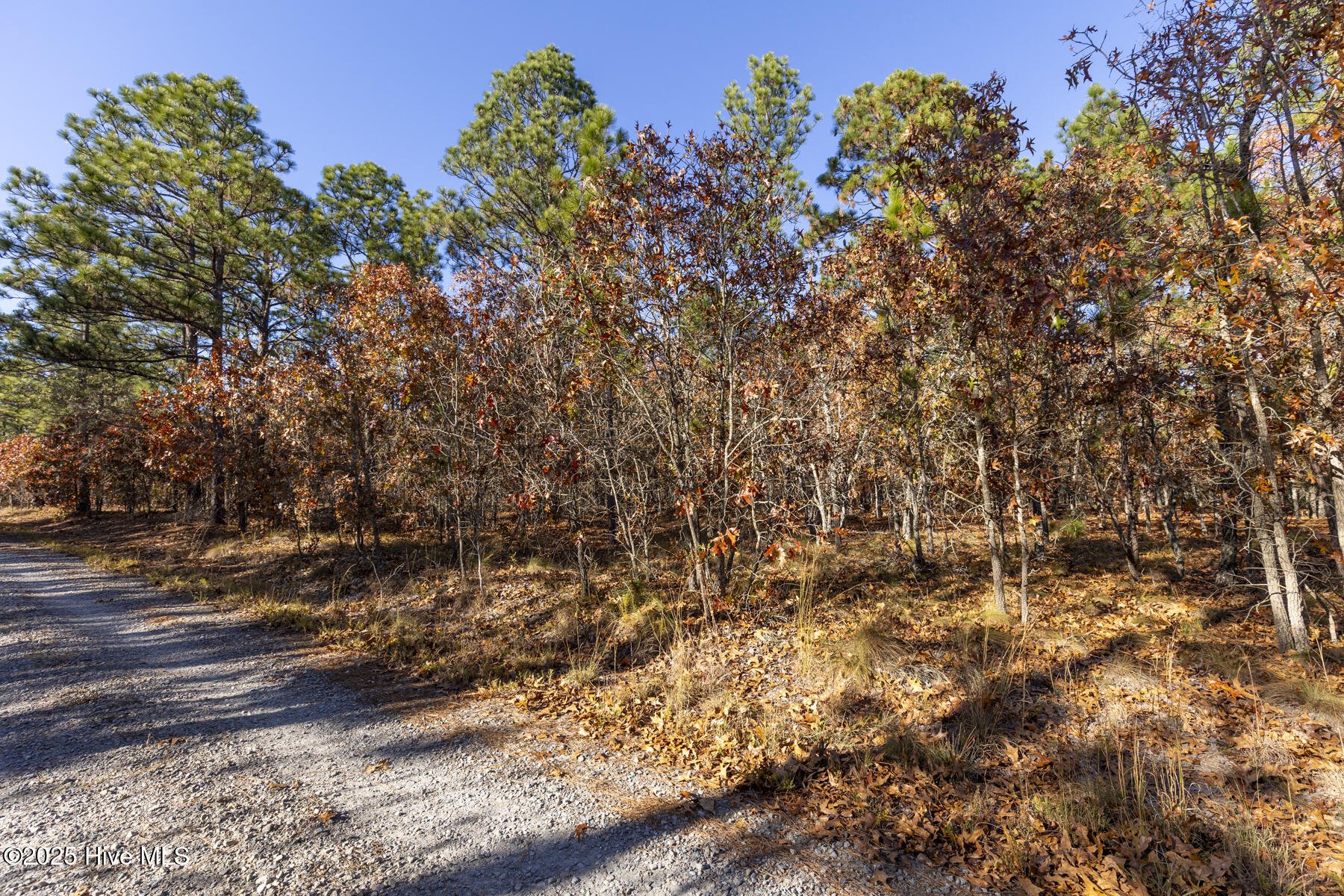 465 Roundabout Road Carthage, NC 28327 - Photo 7 of 10 465 Roundabout Rd_6