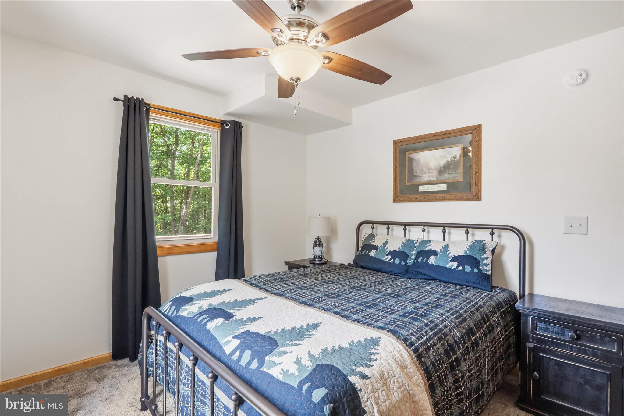 8315 Supinlick Ridge Road Mount Jackson, VA 22842 - Photo 36 of 50