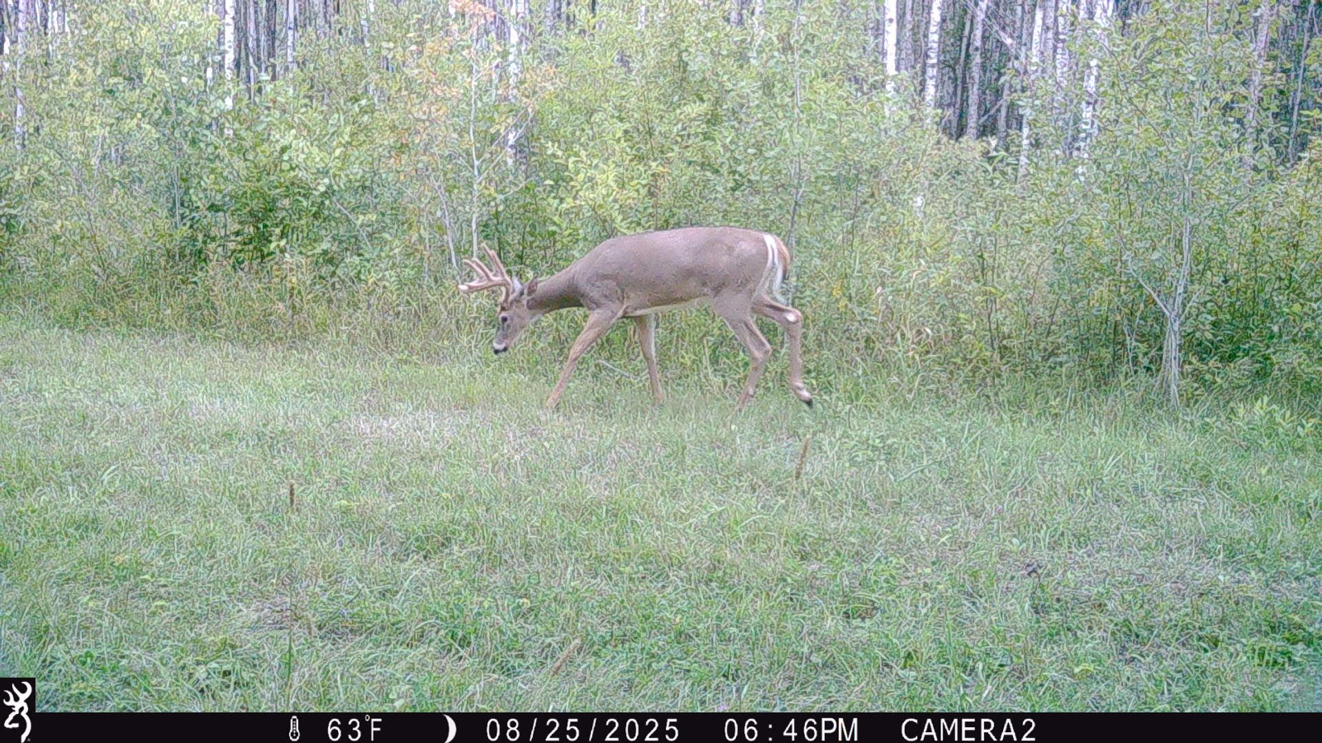 Tbd 440th Avenue Roseau, MN 56751 - Photo 72 of 80