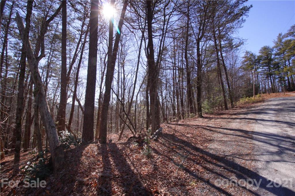 79 Round Mountain Road, Unit 79 Brevard, NC 28712 - Photo 11 of 17 Gallery Image 11