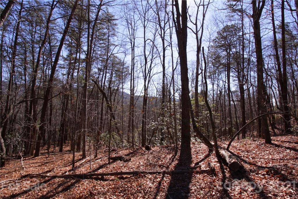 79 Round Mountain Road, Unit 79 Brevard, NC 28712 - Photo 13 of 17 Gallery Image 13