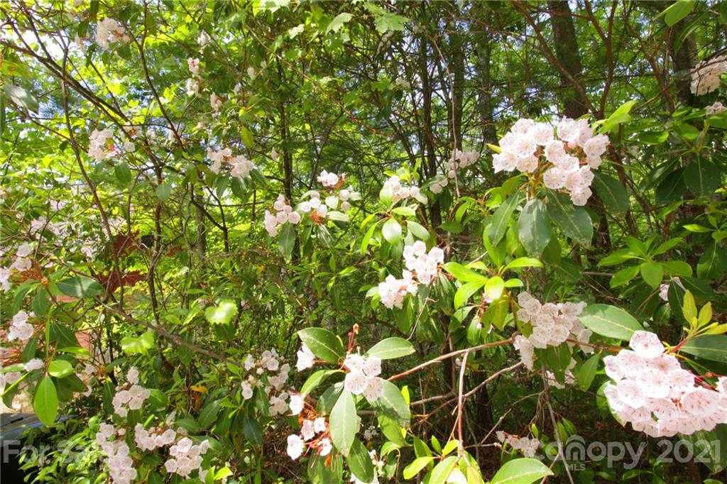 79 Round Mountain Road, Unit 79 Brevard, NC 28712 - Photo 15 of 17 Gallery Image 15