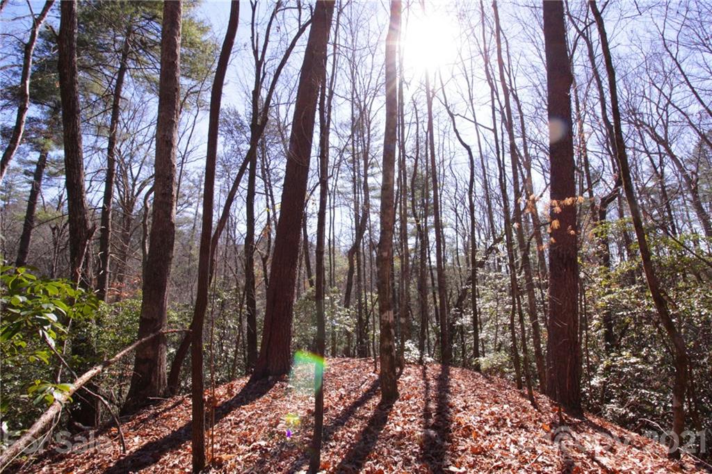 79 Round Mountain Road, Unit 79 Brevard, NC 28712 - Photo 16 of 17 Gallery Image 16