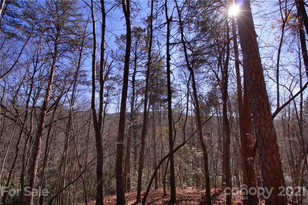 79 Round Mountain Road, Unit 79 Brevard, NC 28712 - Photo 3 of 17 Gallery Image 3