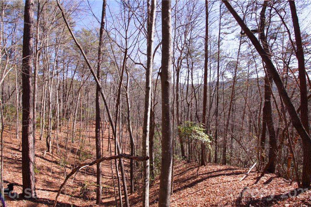 79 Round Mountain Road, Unit 79 Brevard, NC 28712 - Photo 7 of 17 Gallery Image 7